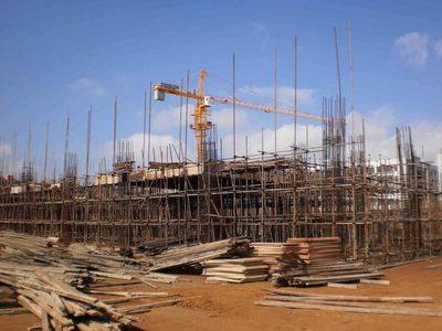 山東園林綠化養(yǎng)護(hù)工程造價(jià)解析 誠(chéng)信合作，構(gòu)筑綠色精品工程